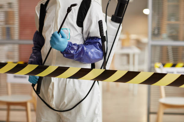 Professional Sewage Cleanup technician working in Mount Pleasant, WI
